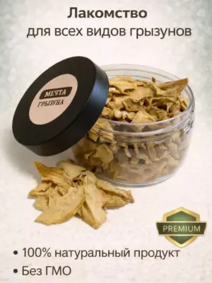 Лакомство Мечта грызуна сушеные яблоки для всех видов грызунов PREMIUM, 50 г